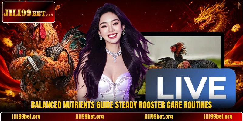 Balanced nutrients guide steady rooster care routines Balanced nutrients guide steady rooster care routines