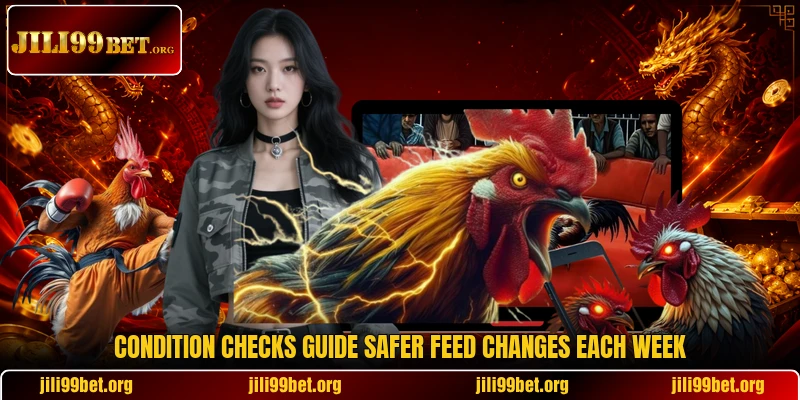 Condition checks guide safer feed changes each week