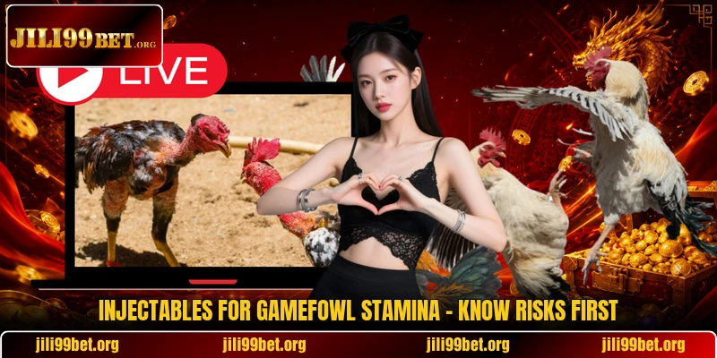 Injectables For Gamefowl Stamina - Know Risks First